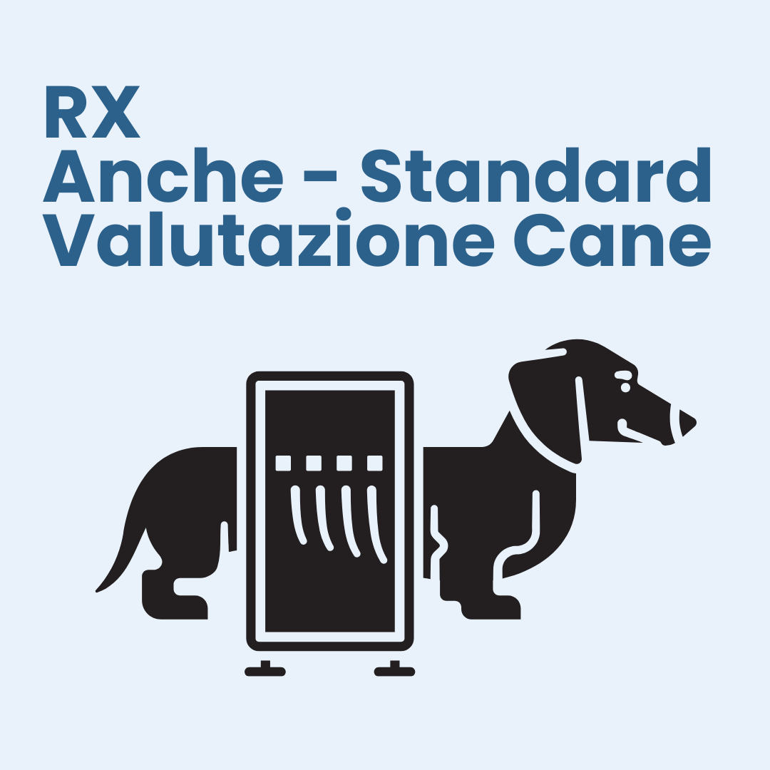 Copia di Copia di Copia di Copia di Copia di Copia di Post di Instagram di sensibilizzazione sui cani ed i rifugi – canili (3)